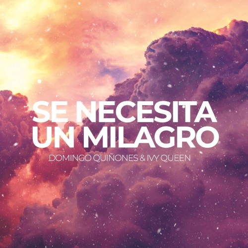 Se necesita un milagro封面