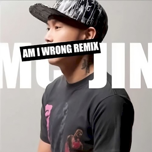 Am I Wrong Remix (Single)封面