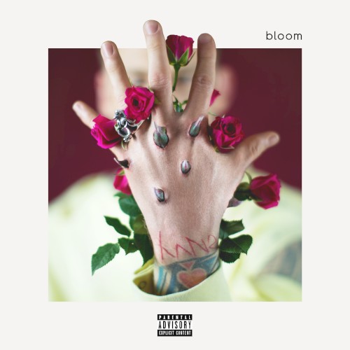bloom封面