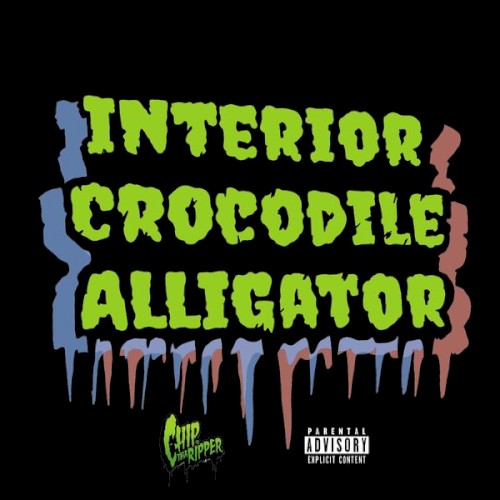 Interior Crocodile Alligator封面