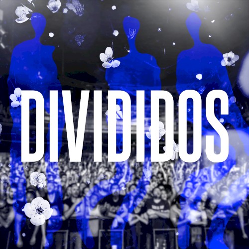 16/2/19 Flores (En Vivo)封面