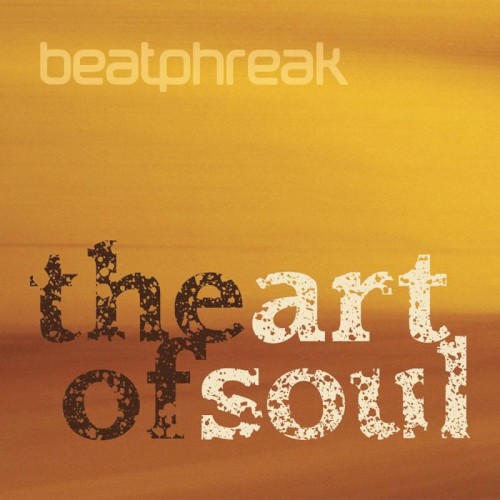 The Art of Soul封面