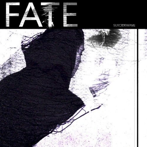 FATE封面