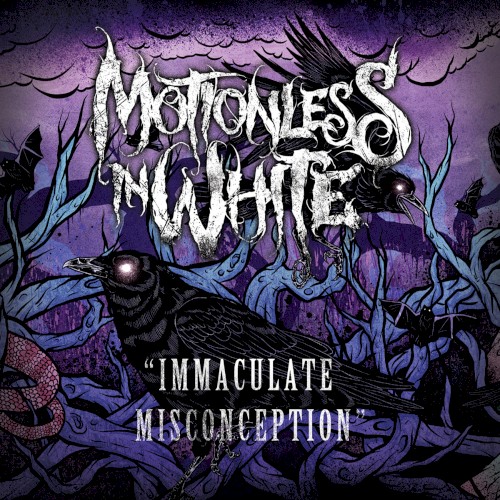 Immaculate Misconception封面