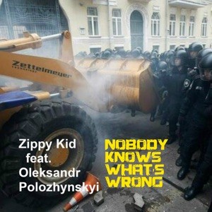 Nobody Knows What’s Wrong封面