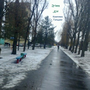 Комплекс Гольджи封面