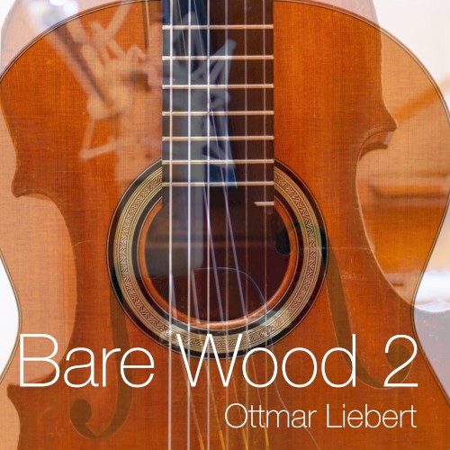 Bare Wood 2封面