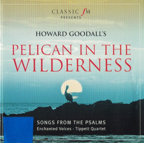 Pelican In The Wilderness封面