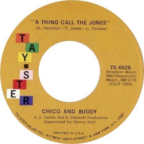 A Thing Call the Jones / Can You Dig It封面