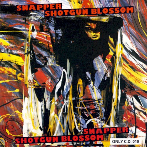 Shotgun Blossom封面