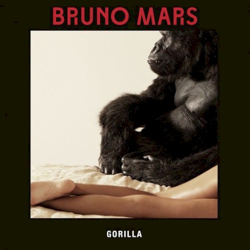 Gorilla封面