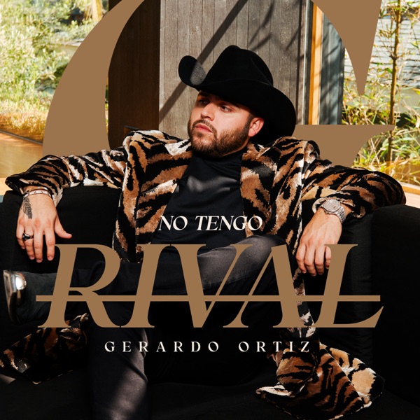 No Tengo Rival封面