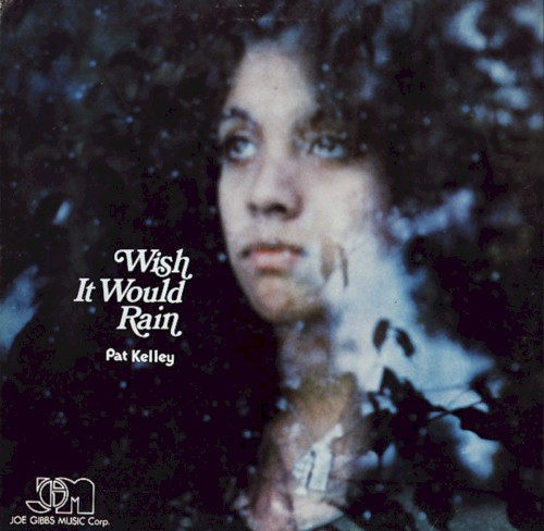 Wish It Would Rain封面