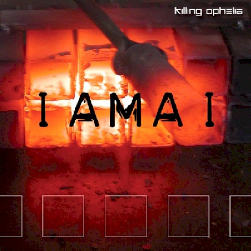 IAMAI封面