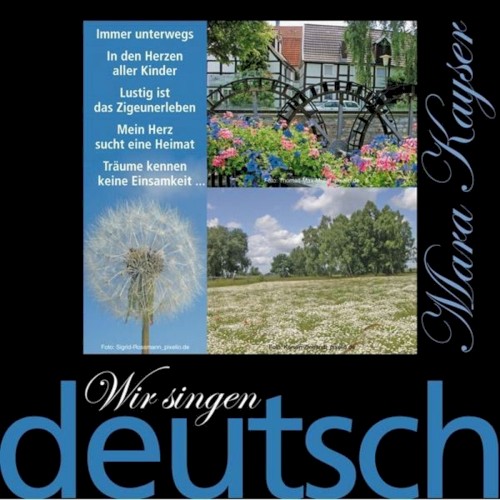 Wir singen deutsch - Der Frieden fängt im Herzen an封面