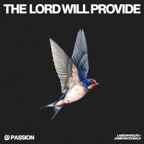 The Lord Will Provide封面