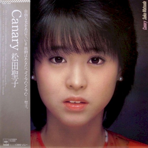 Canary封面