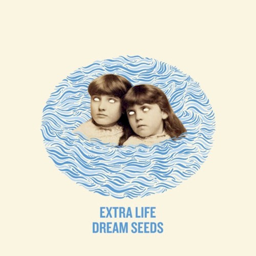 Dream Seeds封面