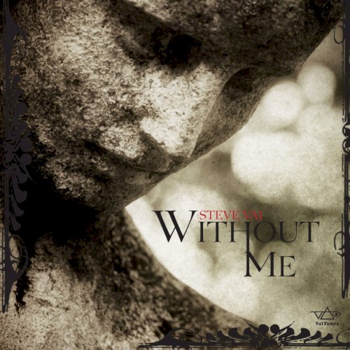 Without Me (VaiTunes)封面
