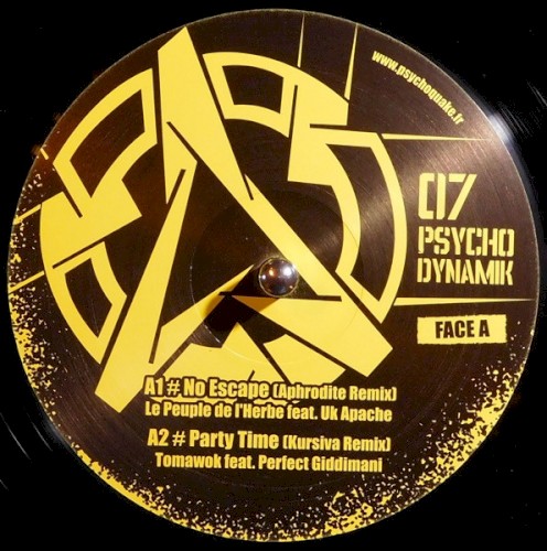 Psychodynamik 07封面