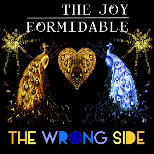 The Wrong Side封面