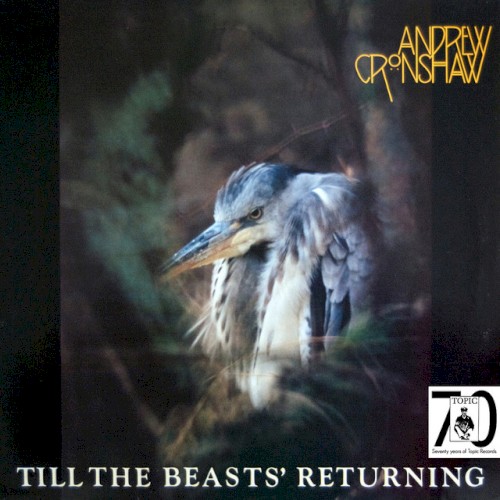 Till The Beasts' Returning封面
