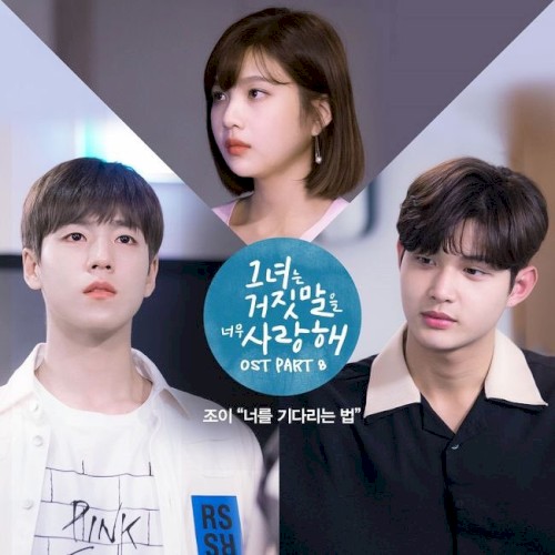 그녀는 거짓말을 너무 사랑해 OST Part.8封面