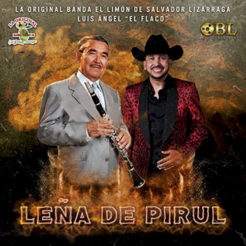 Leña de pirul封面