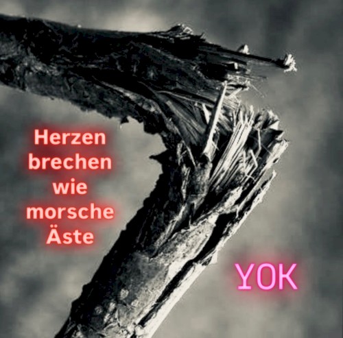 Herzen brechen wie morsche Äste封面