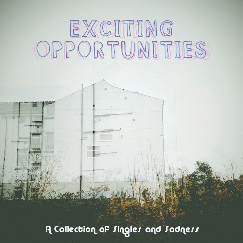 Exciting Opportunities: A Collection of Singles and Sadness封面
