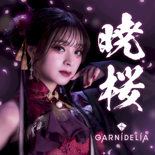 暁桜封面