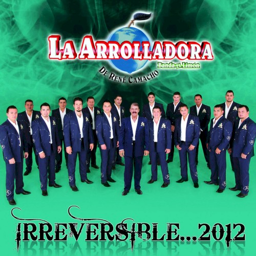 Irreversible ... 2012封面