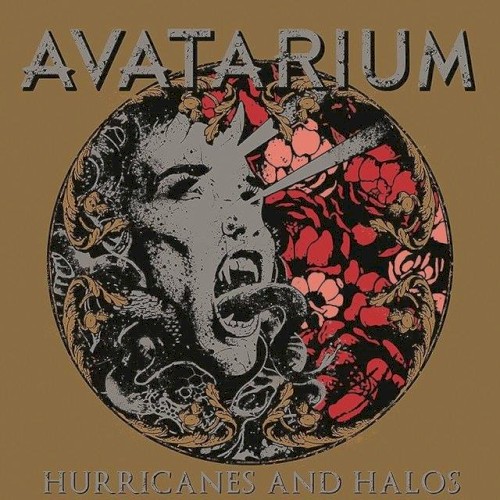 Hurricanes and Halos封面