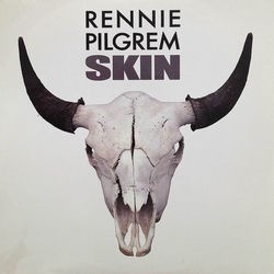 Skin封面
