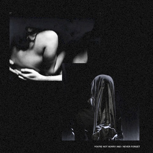 You're Not Sorry And I Never Forget封面