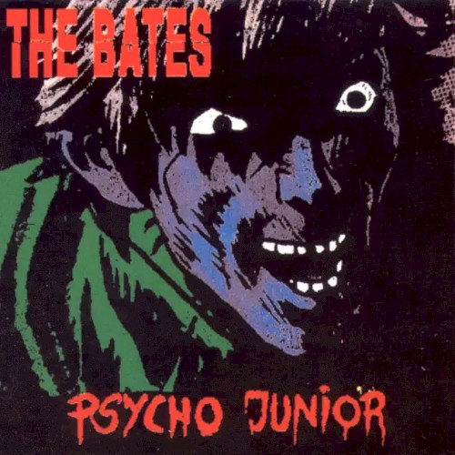 Psycho Junior封面