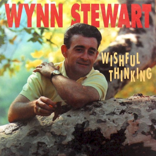 Wishful Thinking封面