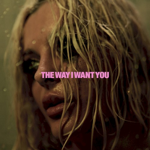 The Way I Want You封面