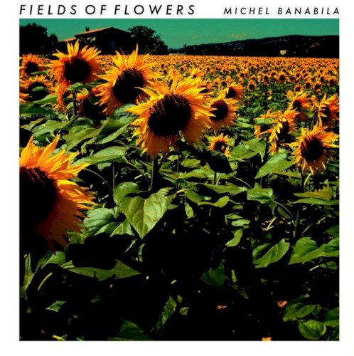 Fields of Flowers封面