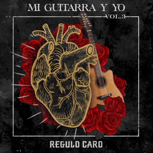 Mi guitarra y yo, vol. 3封面
