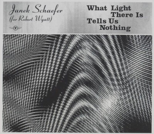 What Light There Is Tells Us Nothing封面