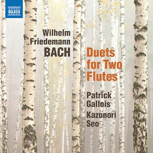 Duets for Two Flutes封面