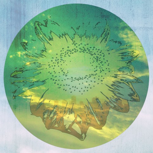 Sunflower封面