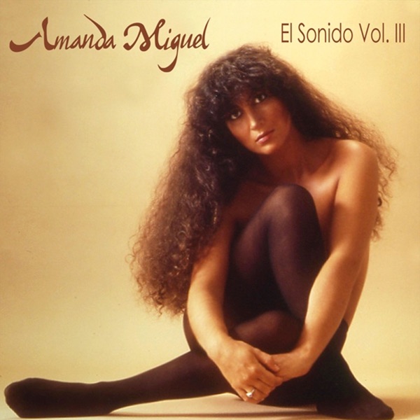 El sonido, vol. 3封面