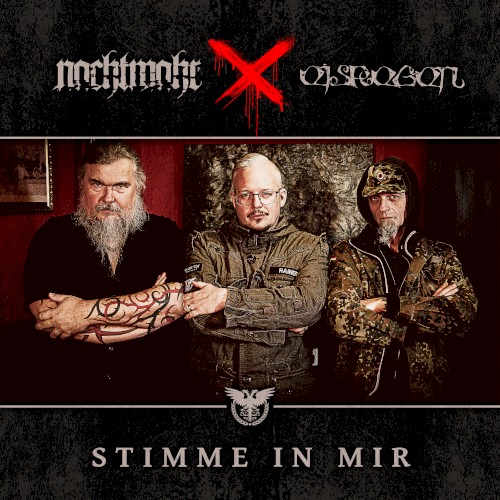 Stimme in mir (Antisozial ICD-10 F60.2)封面