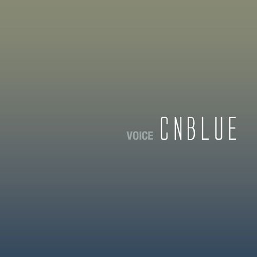 VOICE封面