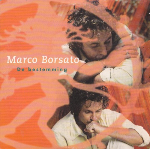 De bestemming封面