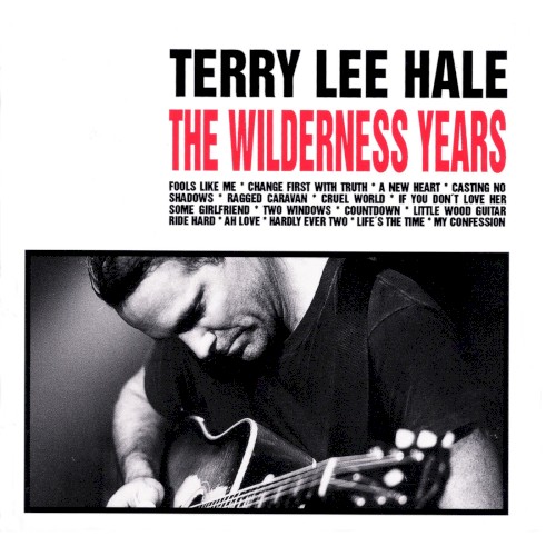 The Wilderness Years封面