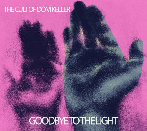 Goodbye to the Light封面