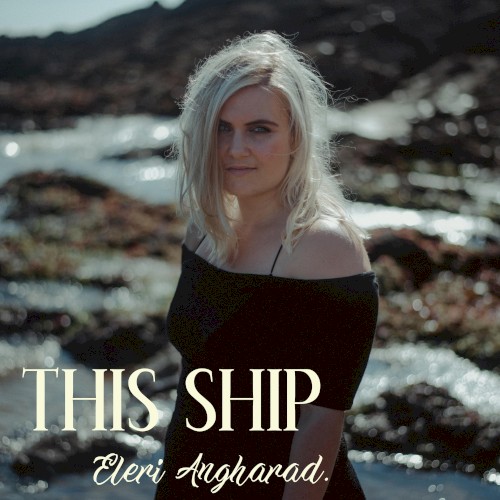 This Ship封面